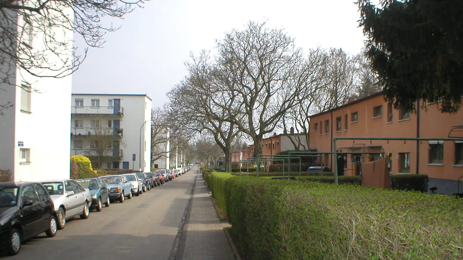 Wohnzeilen der Siedlung Westhausen in Frankfurt, Hessen